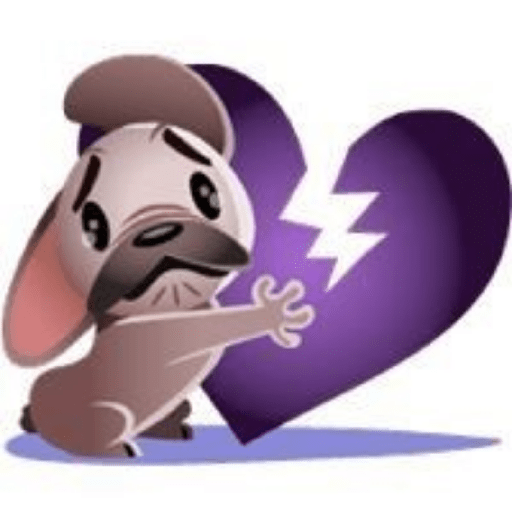 Perro pelon 12
