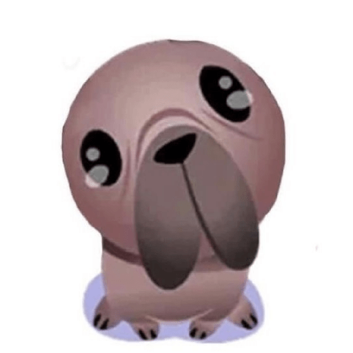 Perro pelon 1