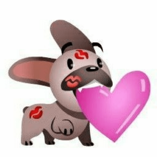 Perro pelon 7
