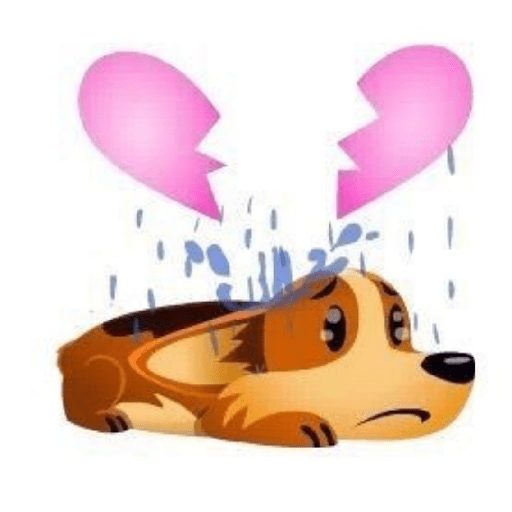 Perro pelon 18