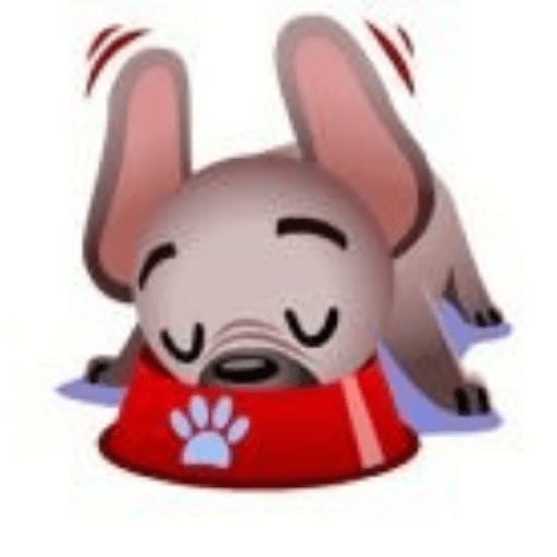 Perro pelon 11