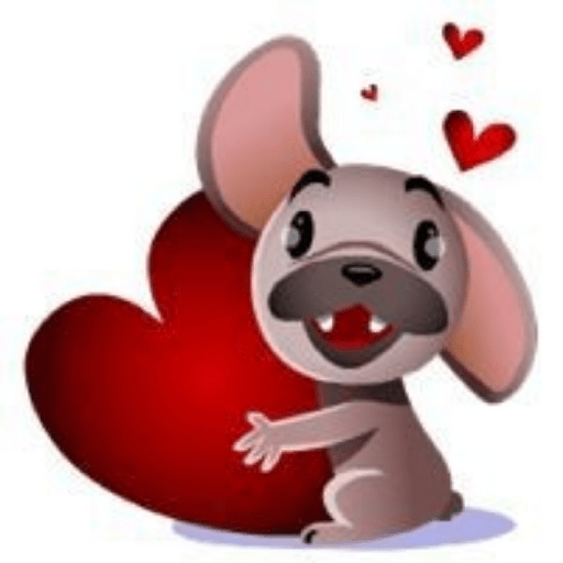 Perro pelon 10