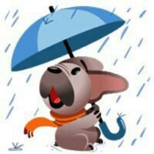 Perro pelon 13