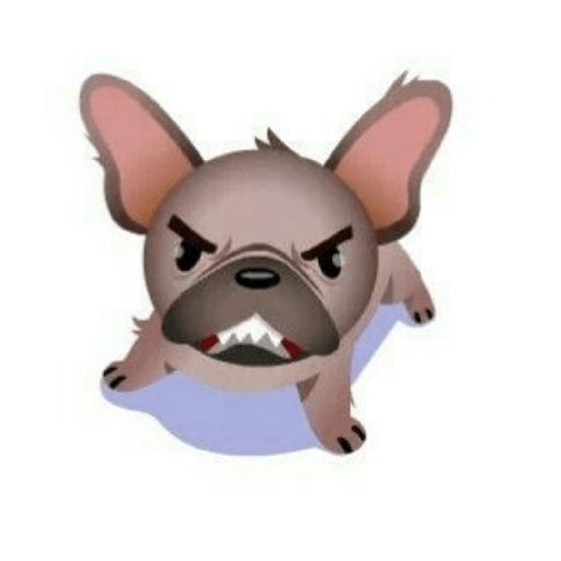 Perro pelon 4