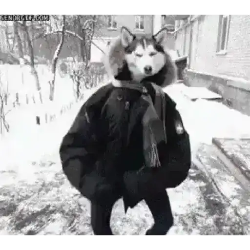 El Gato con botas Lobo 6