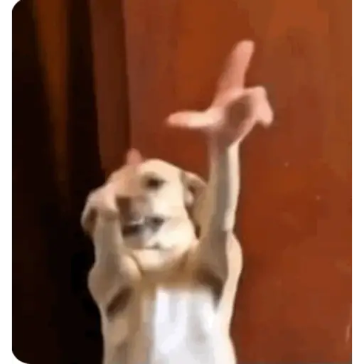 Videos  4