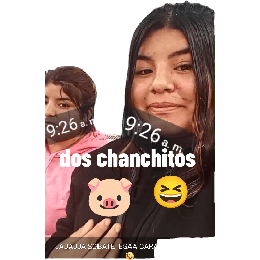 Bruno 14