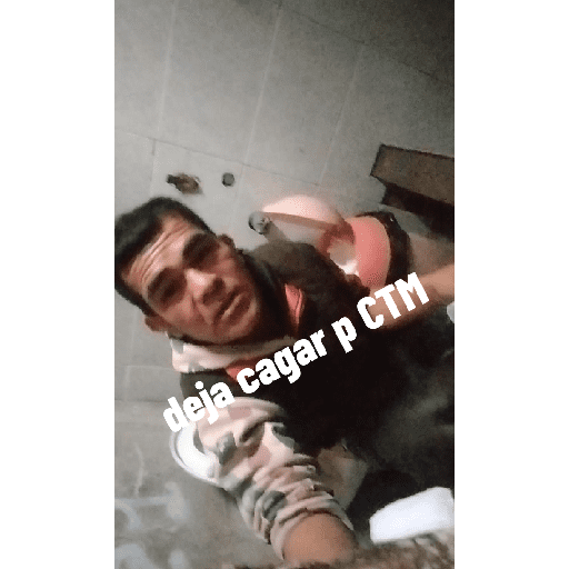 Bruno 18