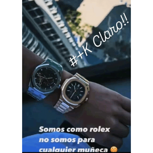 Bruno 24