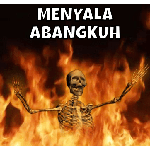 MEME INDO V3