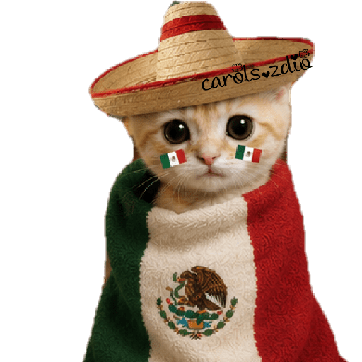 🇲🇽 Mes Patrio Septiembre 🇲🇽🌮 13