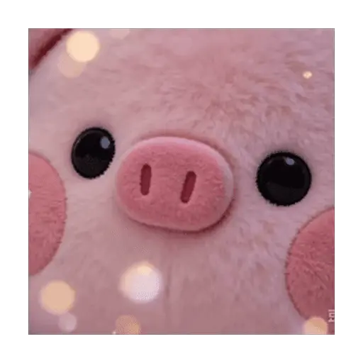 🐷 Cerdito Mood ReACtiOnS 🐷 11
