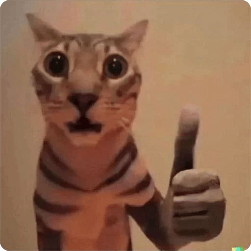 Gatos Random 🐈‍⬛ 🐈 XDXD 2️⃣ 