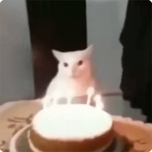 Gatos Random 🐈‍⬛ 🐈 XDXD 2  10