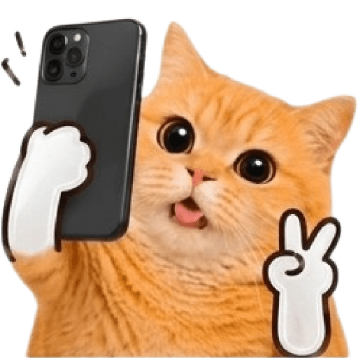 😸 GATOS RANDOM 🐈 XDXD