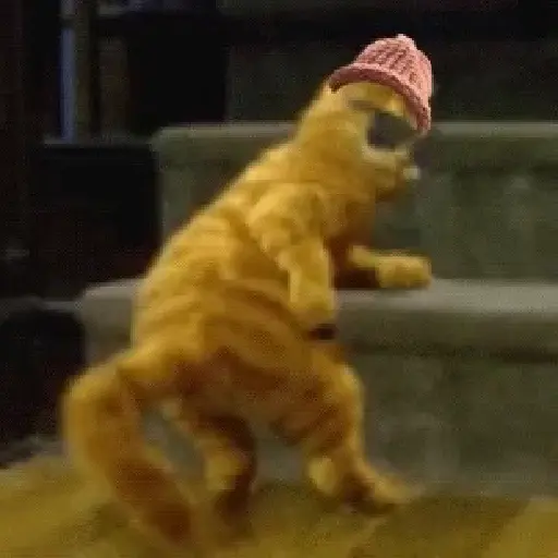 🗣️Gatos random pa chat 🐈‍⬛🔥 9
