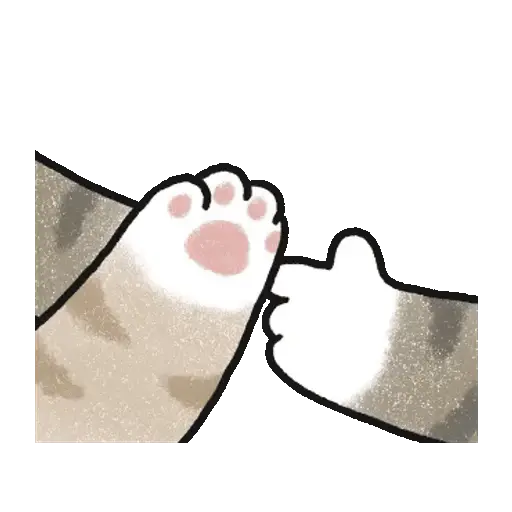 Gatos patitas animadas 🐾🐈🐈‍⬛😻 9