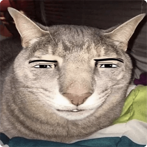Gatos Random 🐈‍⬛🐈 XDXD 