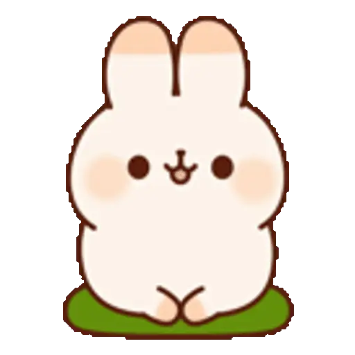 🐰 Cute Little Bunny 🐰🩷🥕 15