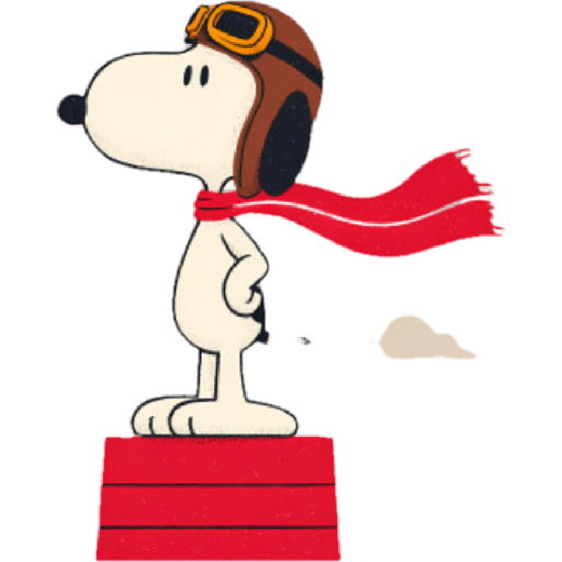🦴 Snoopy Clásico 🏡🦴 9