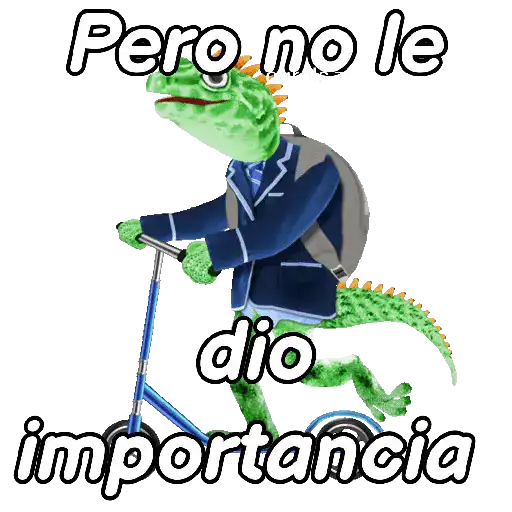 Animales Random pa contestar 💬 19