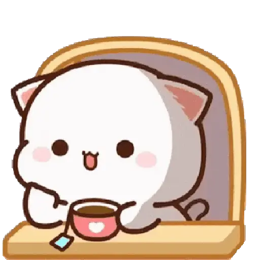 Mochi Peach y Goma Cat 🤍💕🩶 2