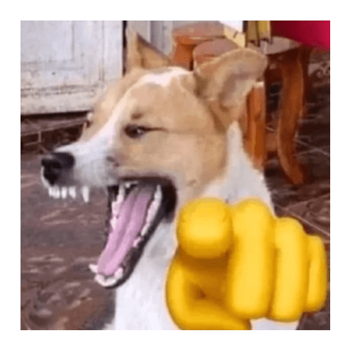 Nuevo Mix Memes Random XDXD🤣 16