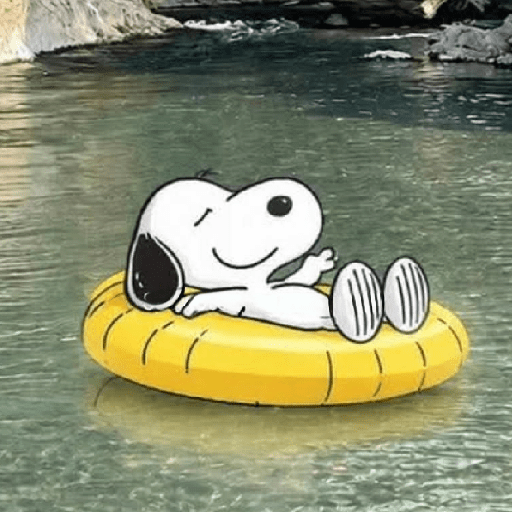 📱 Snoopy en tu chat 🦴🏠 13