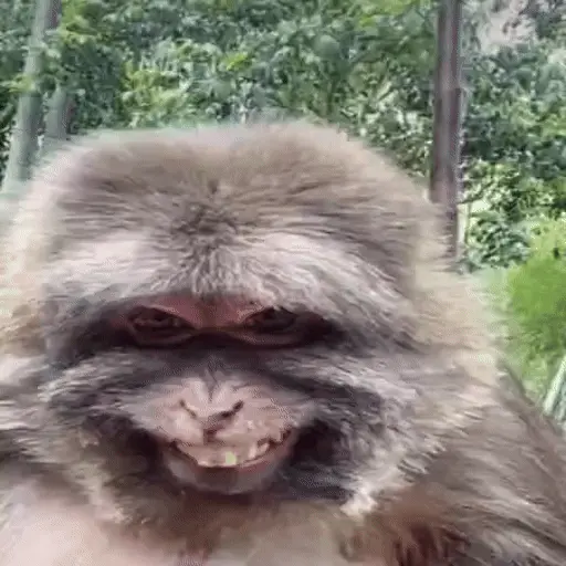 ස්ටිකර්