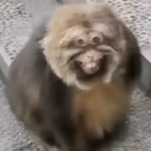 ස්ටිකර්