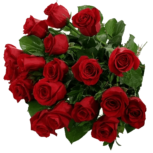 💐🌹Ramos de flores 🌹💐