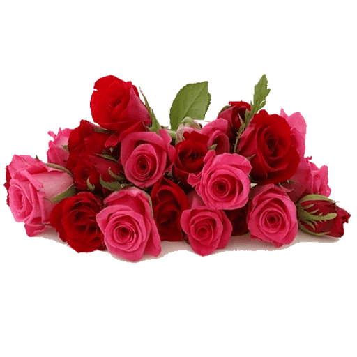 💐🌹Ramos de flores 🌹💐