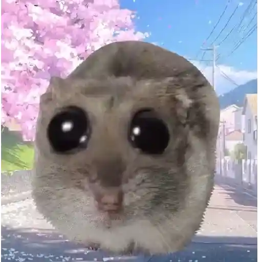 Rata triste de TikTok Meme😞🐭🐁 9