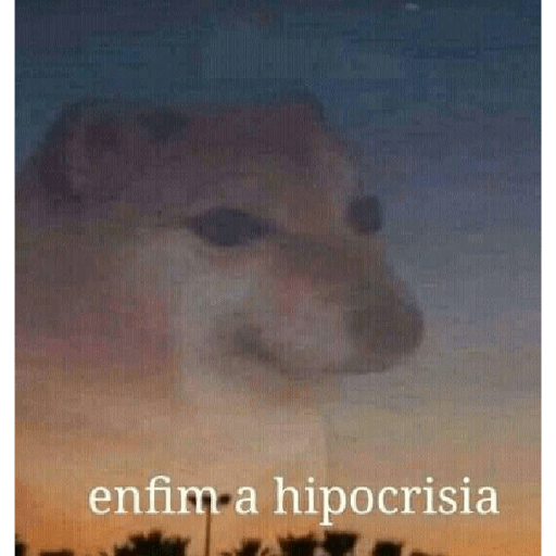 Shitpost Pesado 14