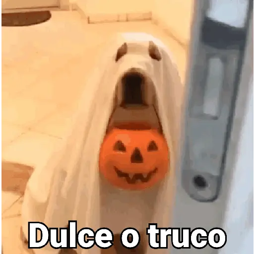 Halloween cute🎃🪄 3