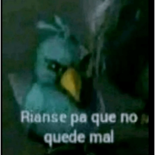 Variado 20