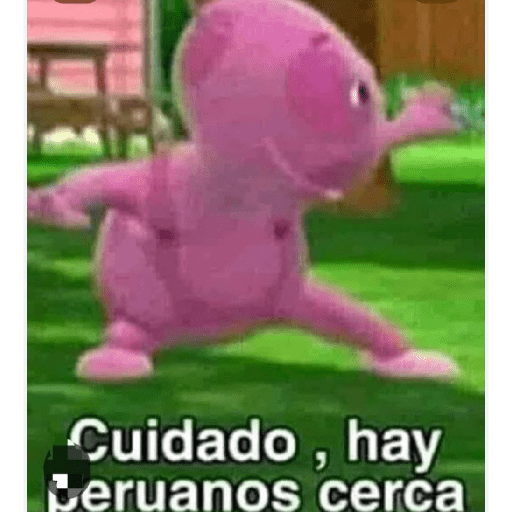 Variado 17