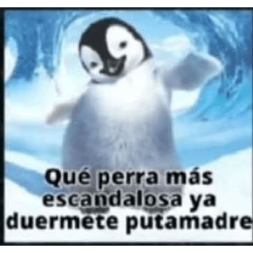 Variado 22
