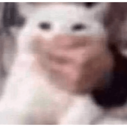 XD’NT? 21