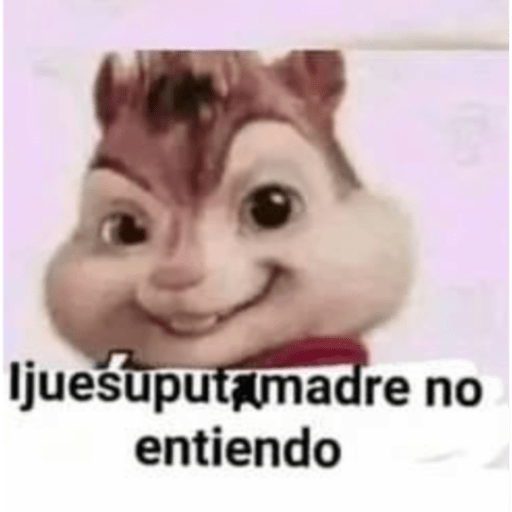 XD’NT? 13