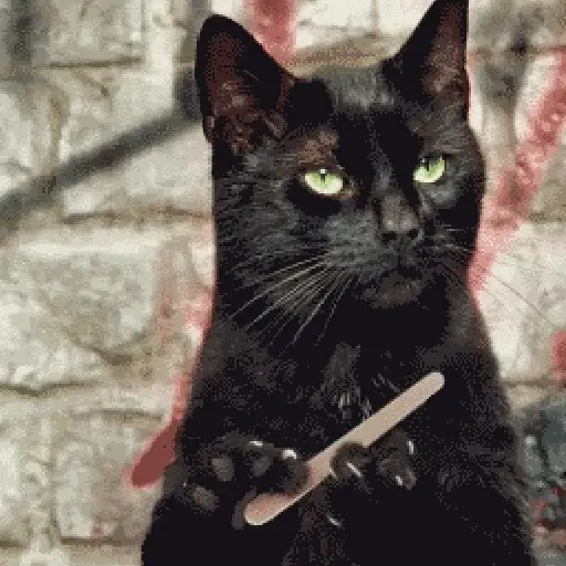 Gif esperando 1 6