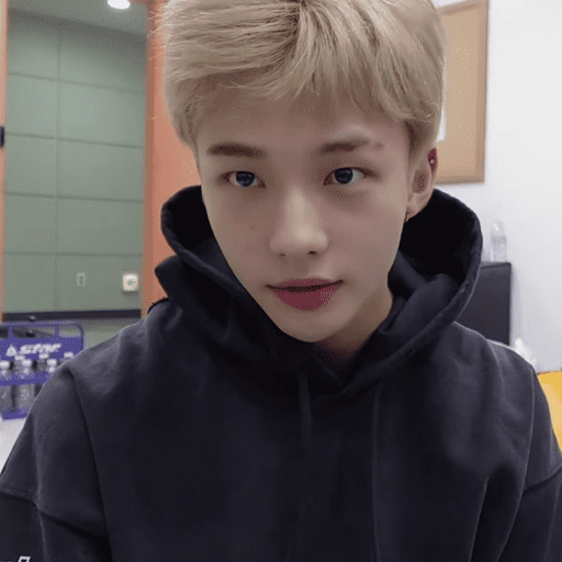 ᰋ   hyunjin/skz   ݁       ੭ 5