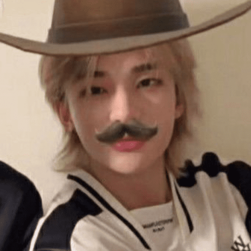 ᰋ   hyunjin/skz   ݁       ੭