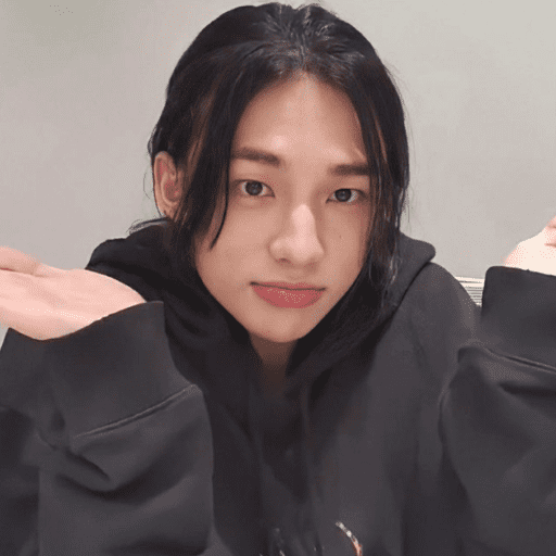 ᰋ   hyunjin/skz   ݁       ੭ 15