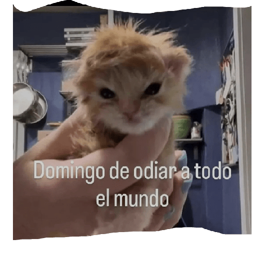 Por el pico el que lee 21