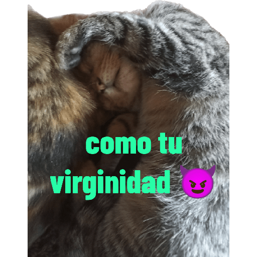 Por el pico el que lee 22