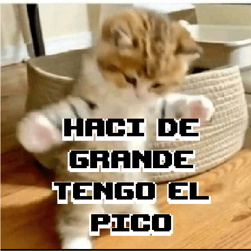 Por el pico el que lee 13