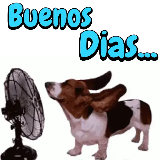 Sticker 3