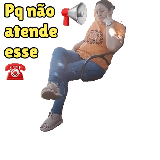 Palmeiras não tem mundial 28