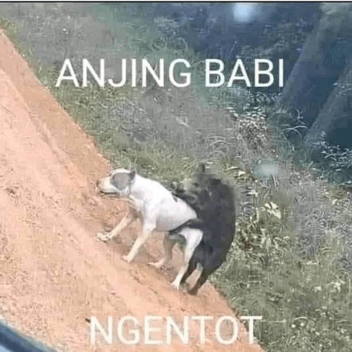 Random meme 20